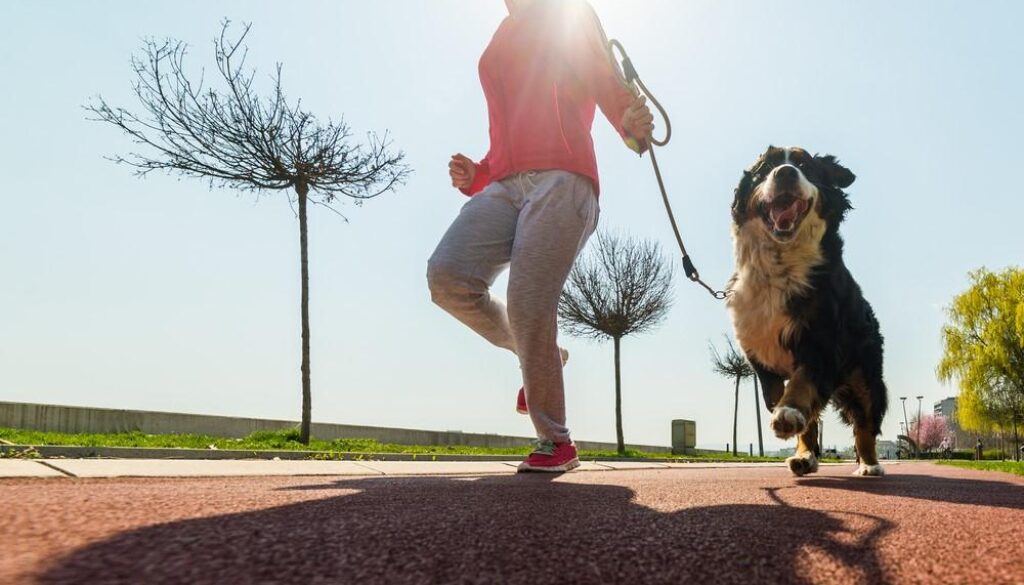 como_ensenar_a_mi_perro_a_correr_conmigo_22613_orig
