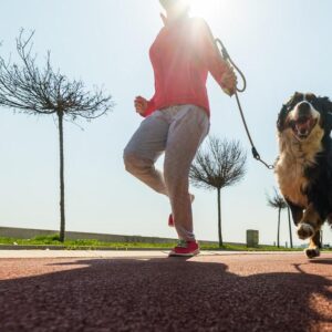 como_ensenar_a_mi_perro_a_correr_conmigo_22613_orig