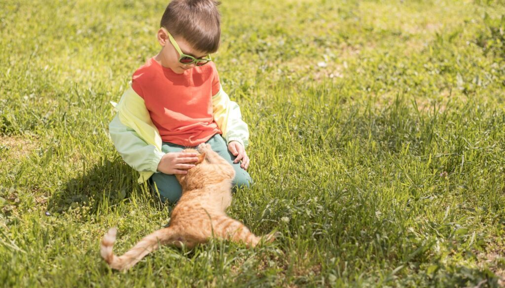 little-boy-playing-with-cat