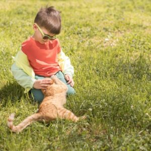 little-boy-playing-with-cat