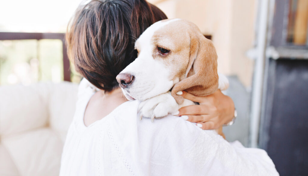 close-up-portrait-of-sad-beagle-dog-looking-away-over-shoulder-of-brunette-girl