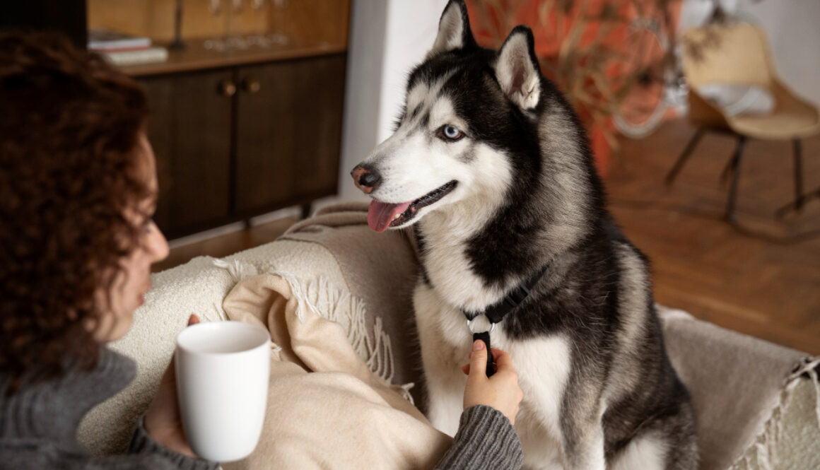 woman-spending-time-with-her-pet