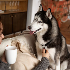 woman-spending-time-with-her-pet